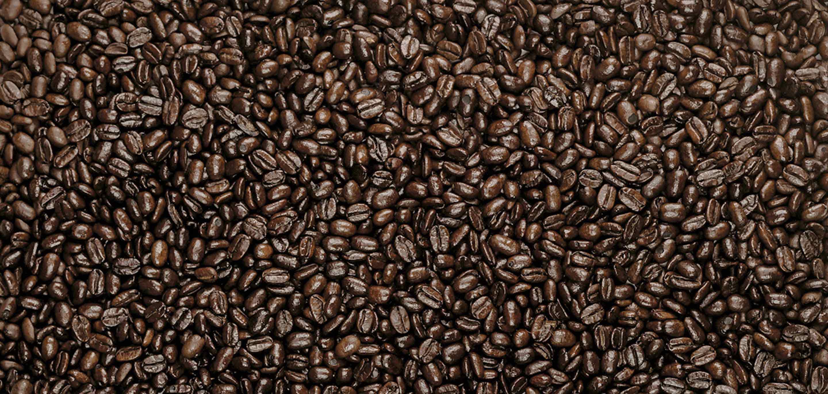 Very Dark Roast Coffees